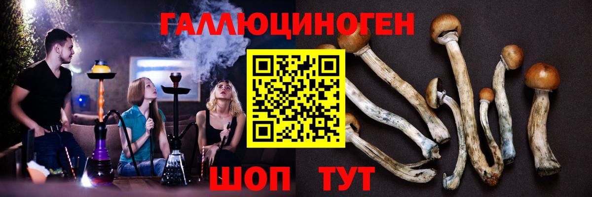 Сертолово  Галлюциногенные грибы мицелий  хочу наркоту  Вход с VPN 
